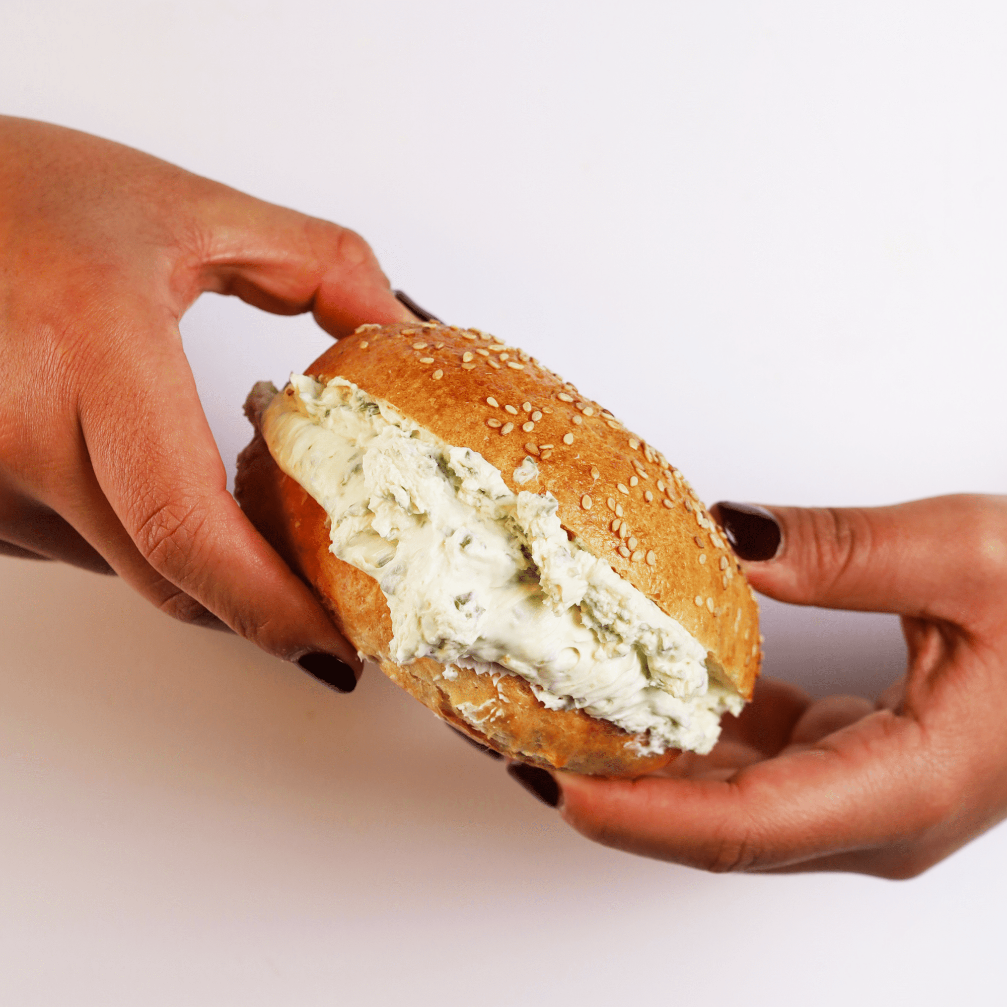 Bagels + Spread - Schmaltzy Bros Delicatessen