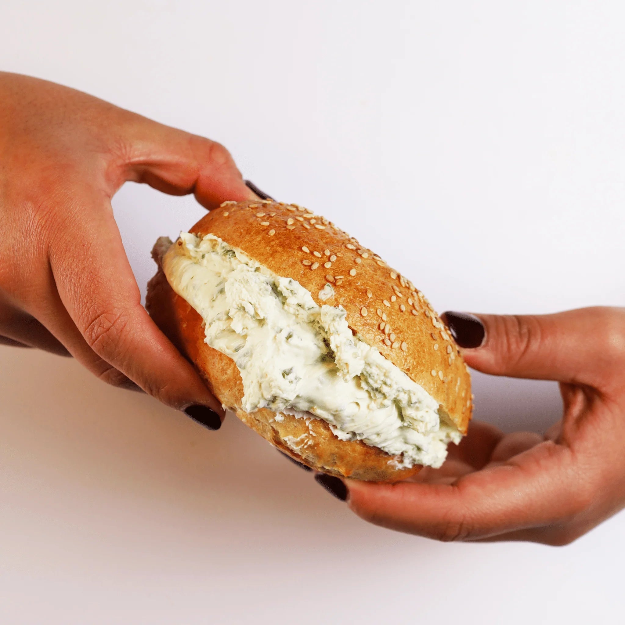 Schmaltzy Bagel Experience - Schmaltzy Bros Delicatessen